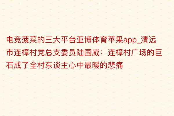 电竞菠菜的三大平台亚博体育苹果app_清远市连樟村党总支委员陆国威：连樟村广场的巨石成了全村东谈主心中最暖的悲痛