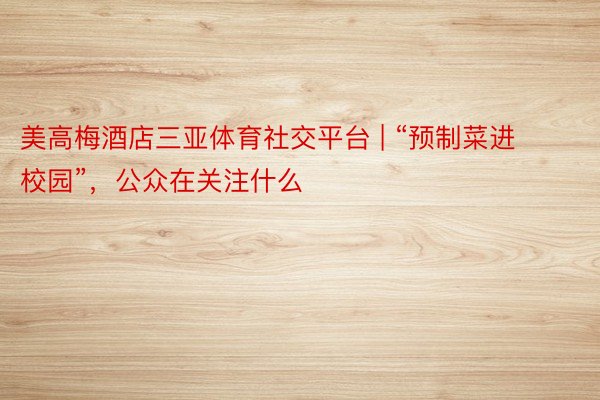 美高梅酒店三亚体育社交平台 | “预制菜进校园”，公众在关注什么